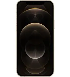 iPhone 12 Pro Max repairs